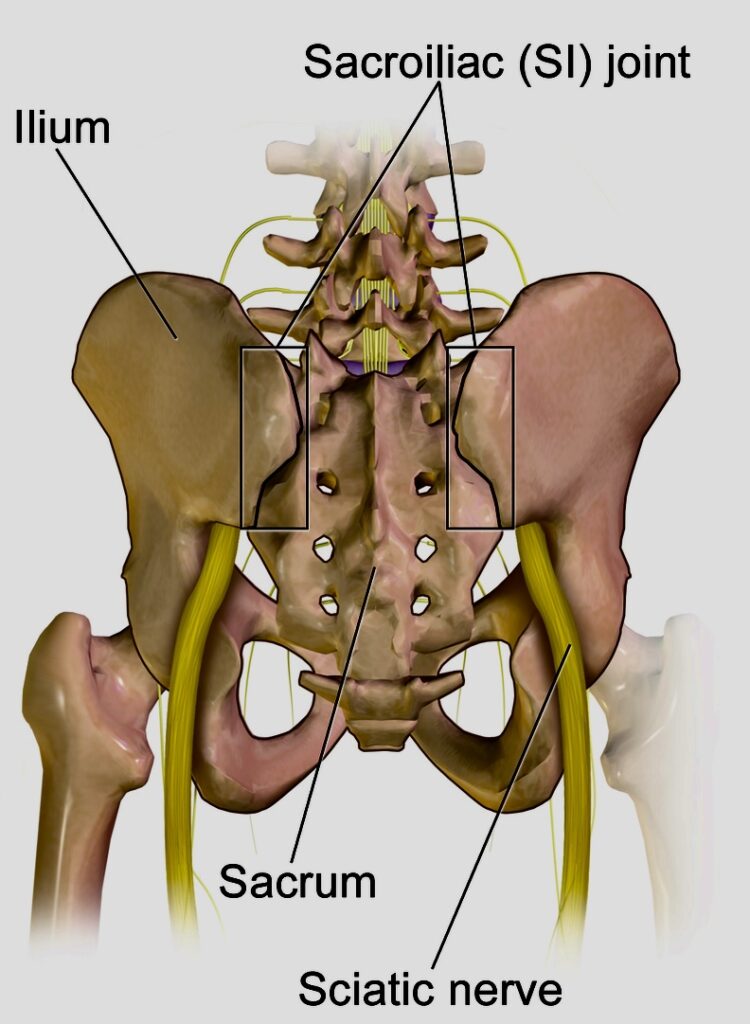 Sacroiliac joint